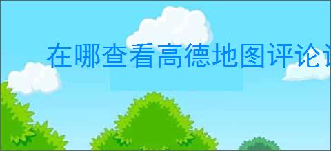 在哪查看高德地图评论记录