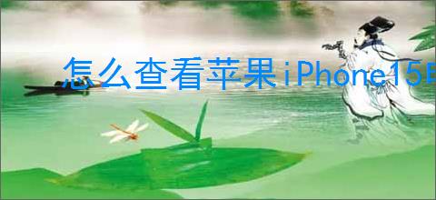 怎么查看苹果iPhone15电池健康