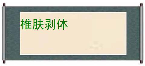 椎肤剥体