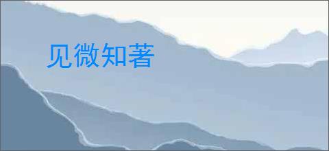 见微知著