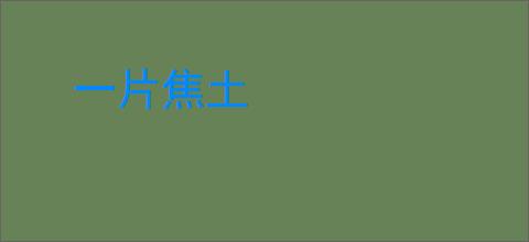 一片焦土