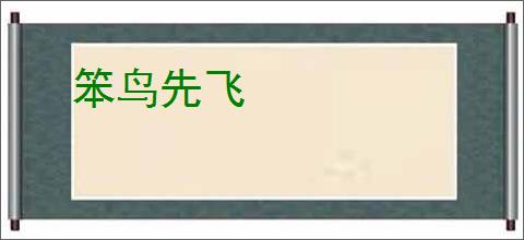 笨鸟先飞