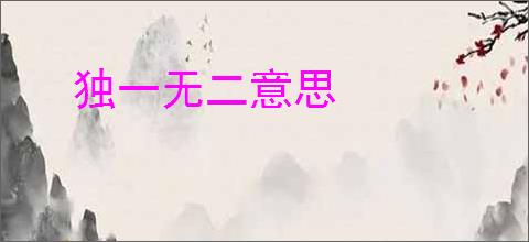 独一无二意思
