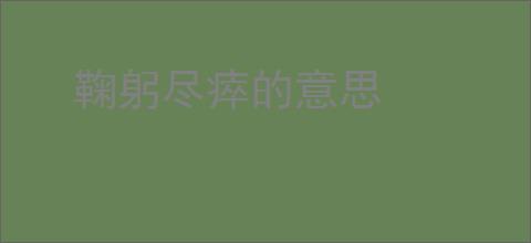 鞠躬尽瘁的意思