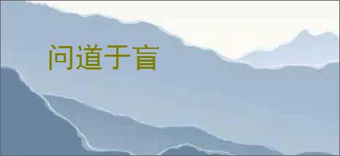 问道于盲