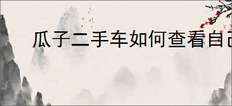 瓜子二手车如何查看自己买车信息