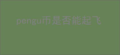 pengu币是否能起飞