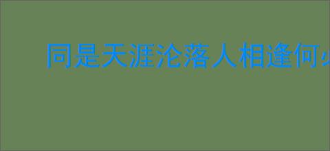 同是天涯沦落人相逢何必曾相识