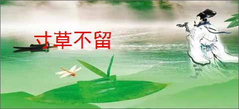寸草不留