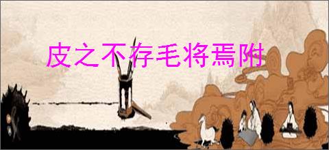 皮之不存毛将焉附